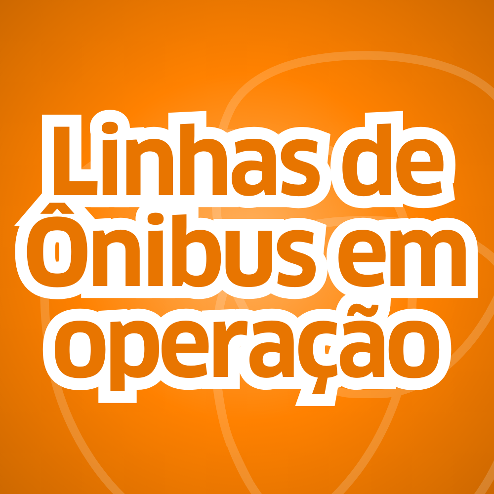 Linhas de Ônibus em operação